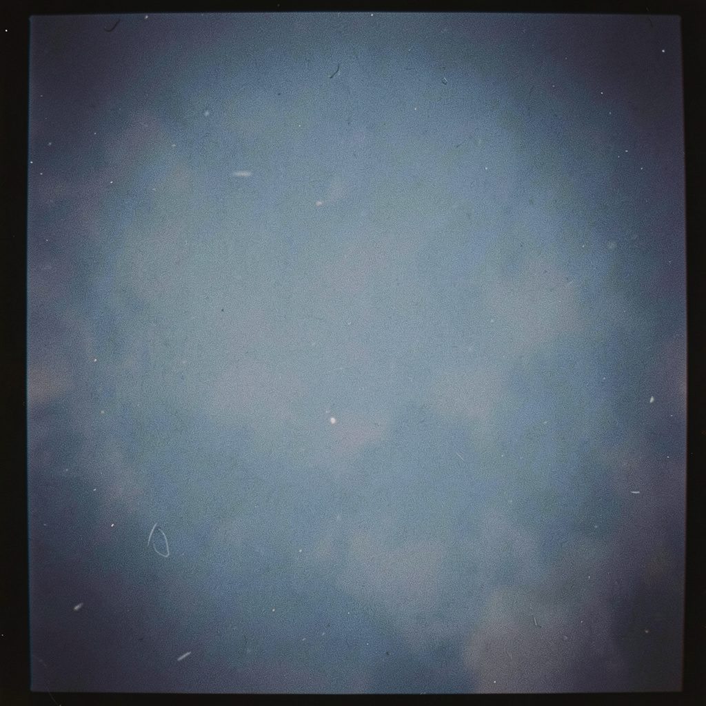 Analog film close-up of a plated seafood dish, oceanic blue and ivory tones, visible grain, soft daylight